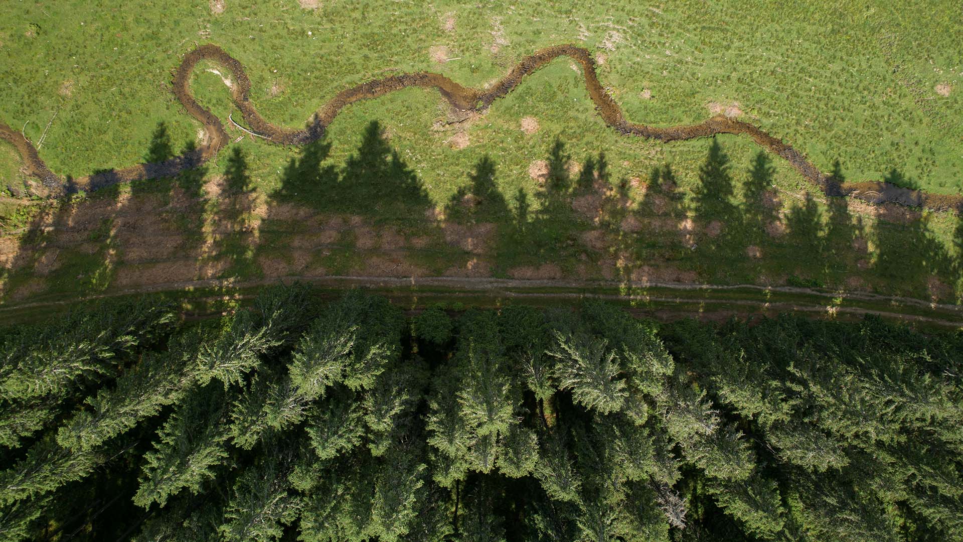 letecke foto z dronu les cesta